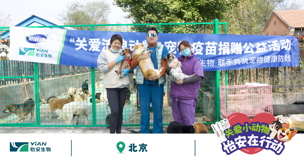 科技化工輔導費大V程序