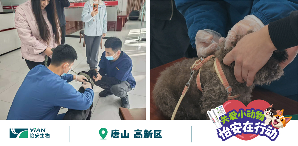 hkhjmnhbgdvfcaazzxzxz